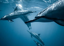 幸运水果机2小游戏-XingKong星空：用星光点亮生活的方式